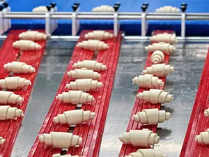 Supporting Tanghe Food in building a 20,000-ton automated bakery production base