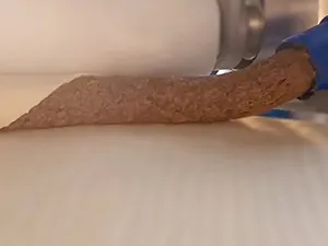 Fresh meat filling