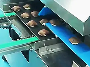 Pineapple Bun Topping Machine